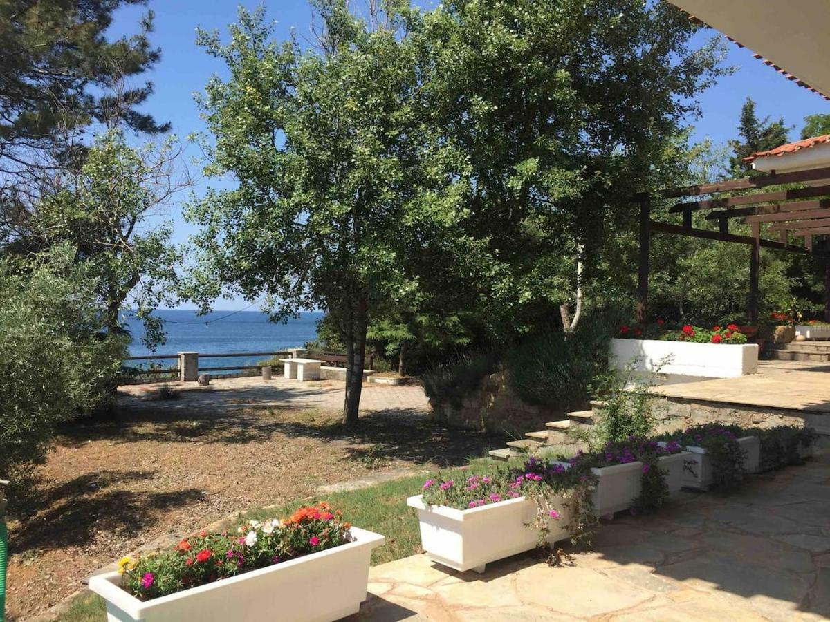 Seaside Vila Platanitis Εξωτερικό φωτογραφία