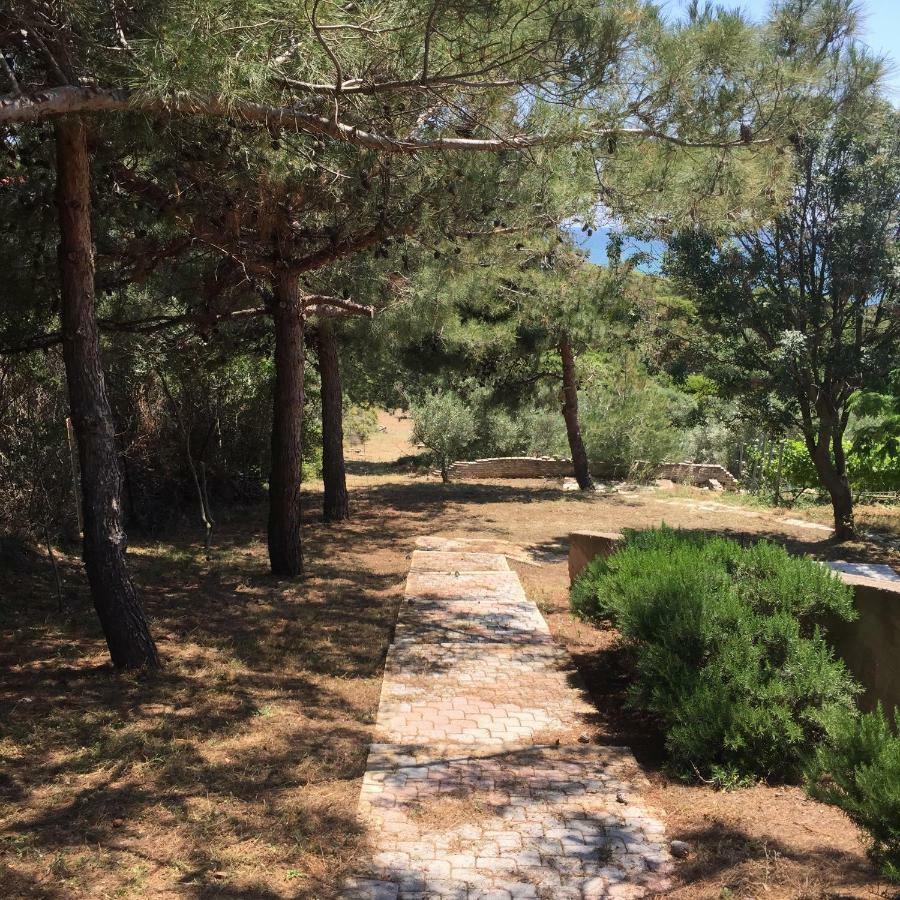 Seaside Vila Platanitis Εξωτερικό φωτογραφία